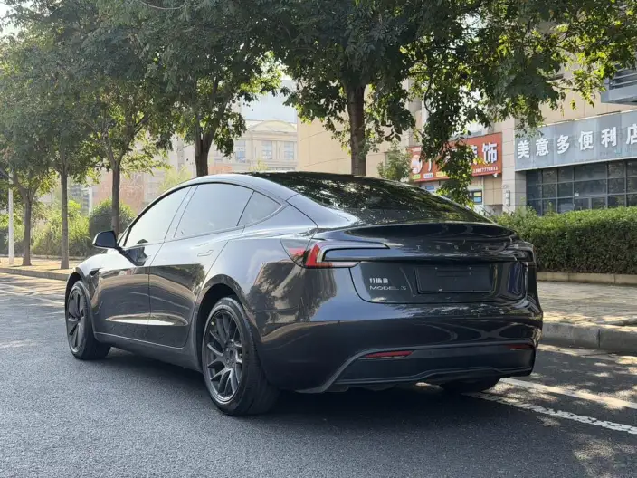 Model 3 2023 Model Rear-wheel drive version – фото 4