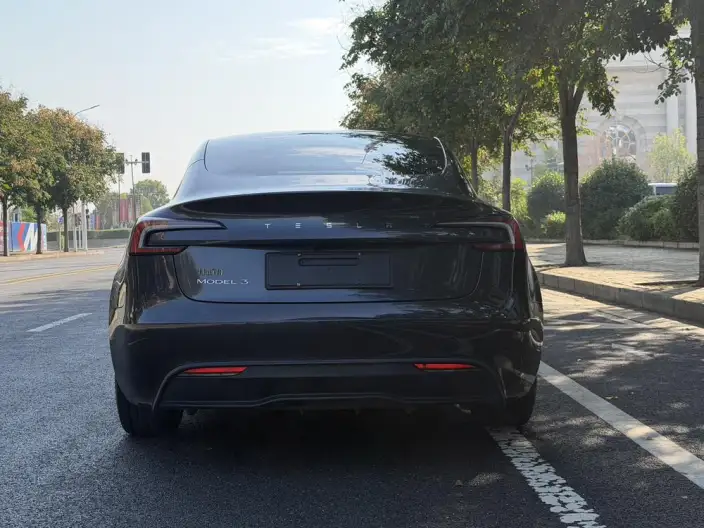 Model 3 2023 Model Rear-wheel drive version – фото 5