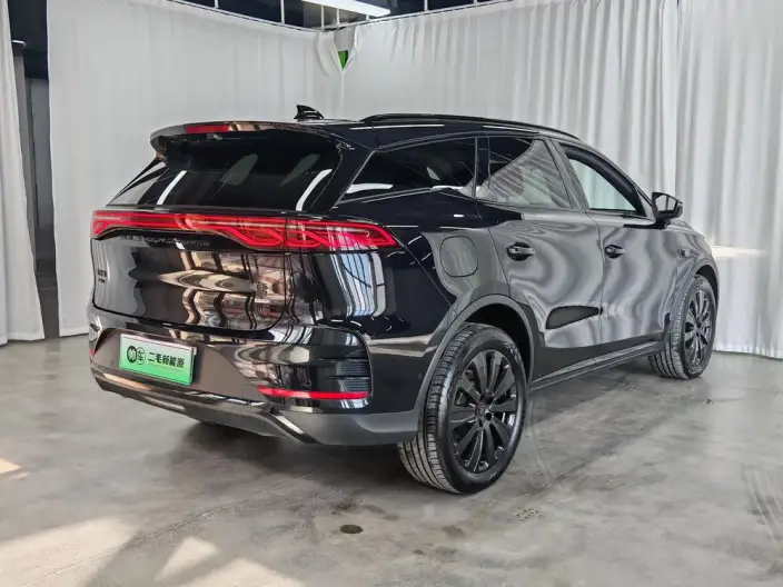 BYD Tang DM 2025 Model Smart Driving Edition DM-i 175KM Zunrong Model – фото 7