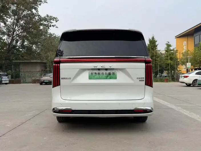Wey Gaoshan P HEV 2025 Model 4WD Wey Gaoshan 8 – фото 5