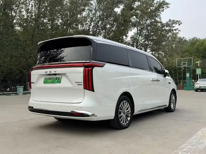 Wey Gaoshan P HEV 2025 Model 4WD Wey Gaoshan 8 – фото 6