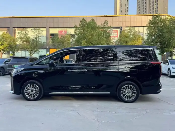 Wey Gaoshan P HEV 2025 Model 4WD Wey Gaoshan 8 – фото 4
