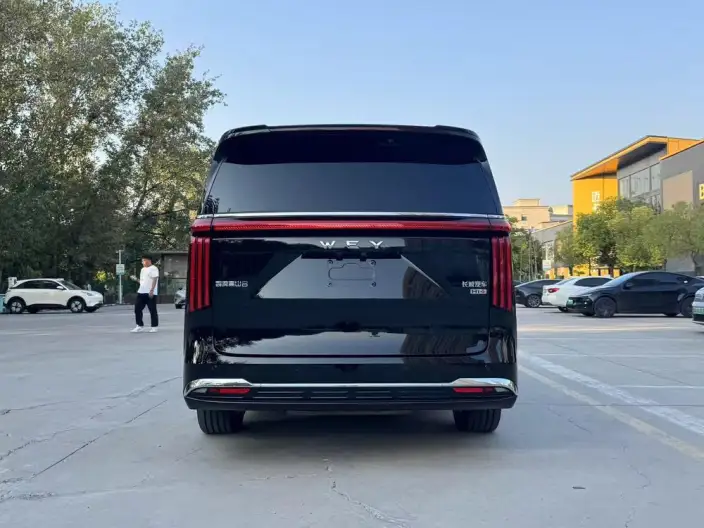 Wey Gaoshan P HEV 2025 Model 4WD Wey Gaoshan 8 – фото 6