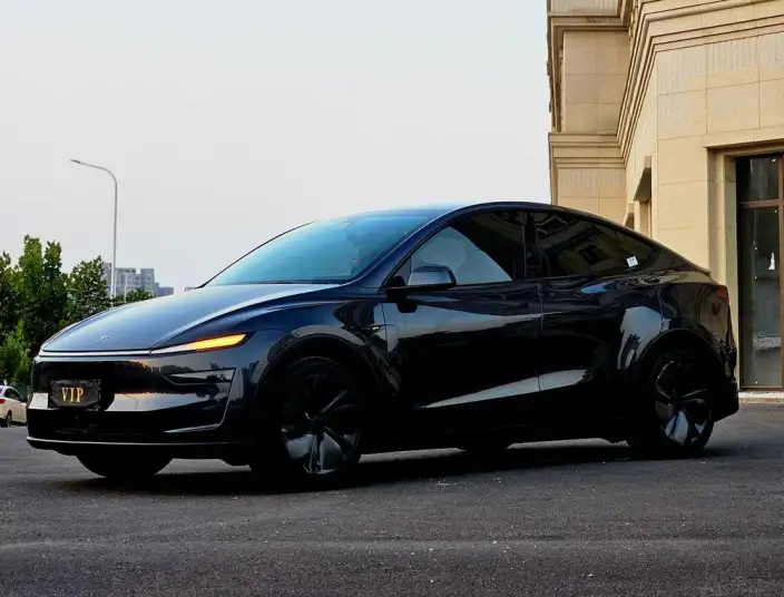 Model Y 2025 Model Rear-wheel drive version – фото 1