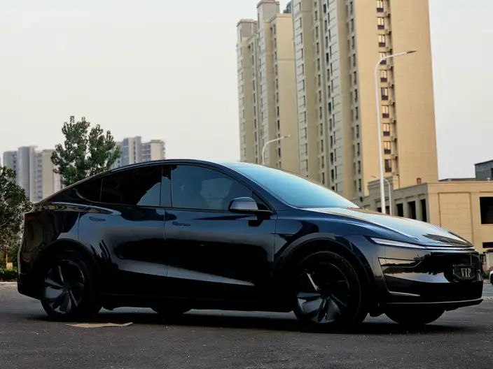 Model Y 2025 Model Rear-wheel drive version – фото 3