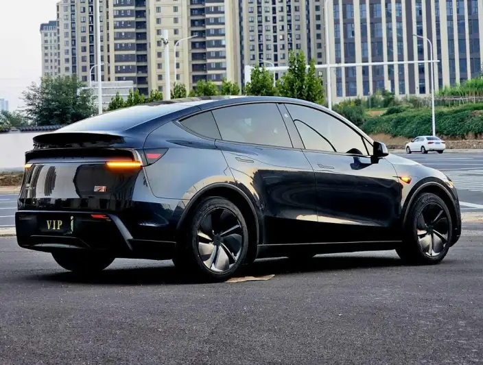 Model Y 2025 Model Rear-wheel drive version – фото 6