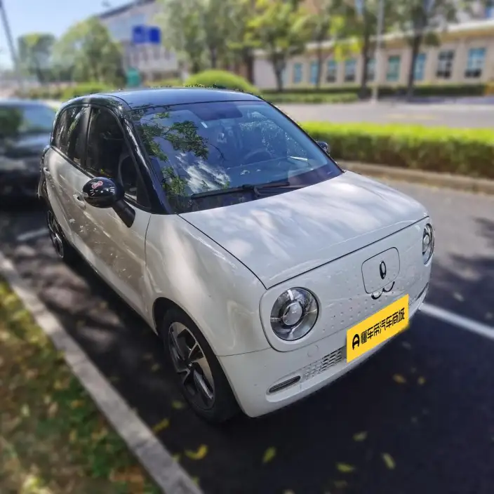 ORA Black Cat 2022 Model 351km Comfort Model Ternary lithium