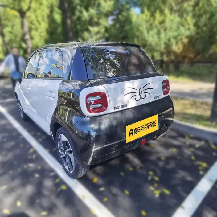 ORA Black Cat 2022 Model 351km Comfort Model Ternary lithium