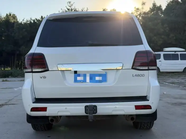 Hengtian L4600 2023 Model 4.6L V8 Pilot Edition – фото 5