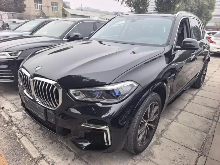 BMW X5 2022 Model xDrive 30Li Exclusive Model M Sports Set