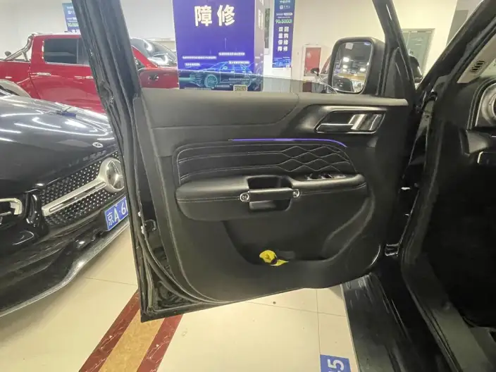 Tank 300 2023 Model 2.0T Automatic 4WD 5 seat – фото 10