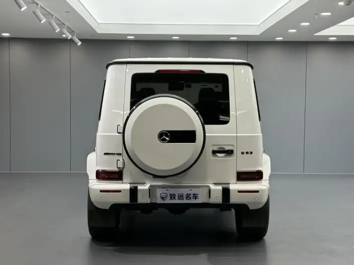 Mercedes-Benz G-Class 2022 Model G 350 – фото 6