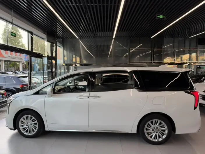 Century 2023 Model 2.0T VI seat Yunshi Edition