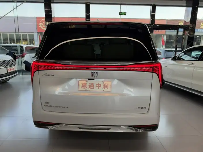 Century 2023 Model 2.0T VI seat Yunshi Edition – фото 6