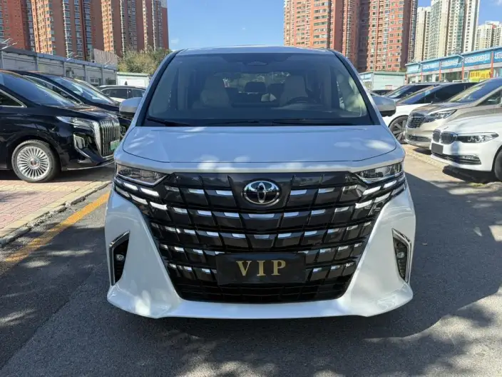 Elfa 2025 Model 2.5L Intelligent Hybrid 4WD Zhen Xiang Gold Edition – фото 2