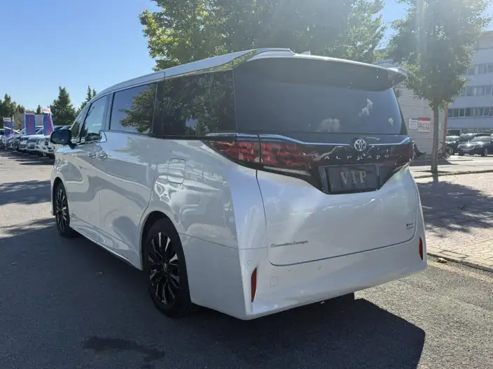 Elfa 2025 Model 2.5L Intelligent Hybrid 4WD Zhen Xiang Gold Edition – фото 4