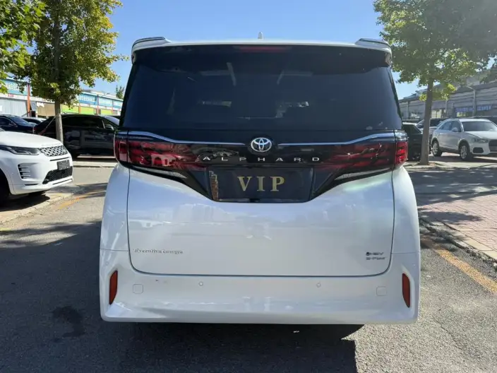 Elfa 2025 Model 2.5L Intelligent Hybrid 4WD Zhen Xiang Gold Edition – фото 5