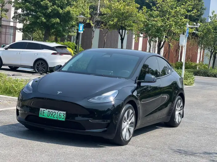 Model Y 2021 Model Standard Battery Life Rear-wheel drive version – фото 1