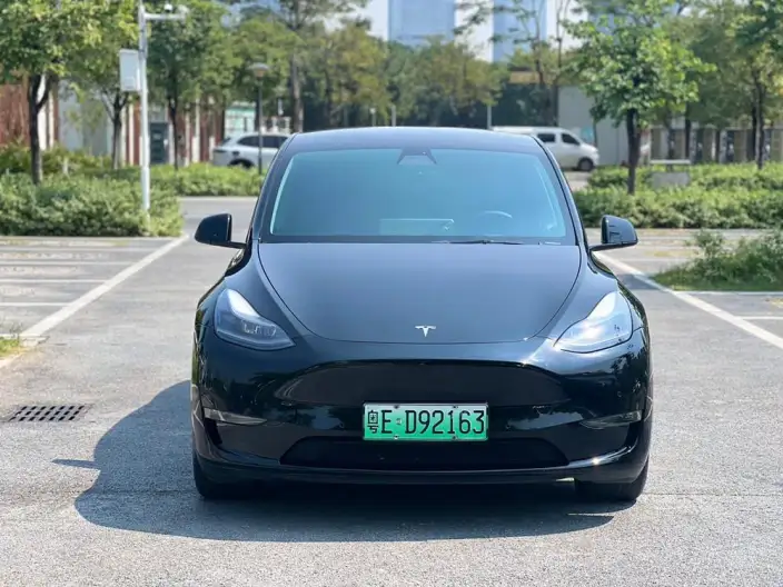 Model Y 2021 Model Standard Battery Life Rear-wheel drive version – фото 2