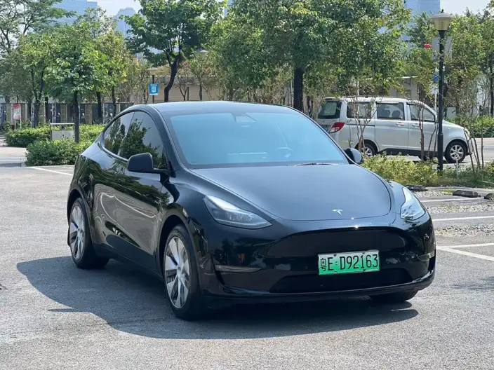 Model Y 2021 Model Standard Battery Life Rear-wheel drive version – фото 3