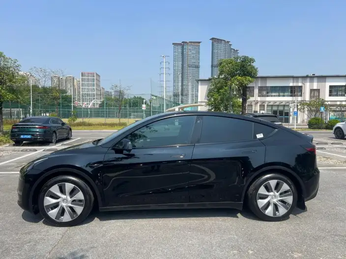Model Y 2021 Model Standard Battery Life Rear-wheel drive version – фото 4
