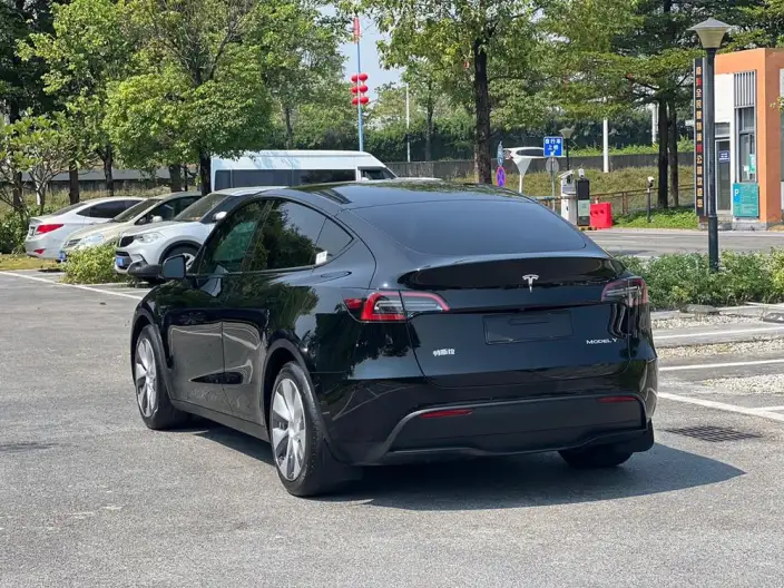 Model Y 2021 Model Standard Battery Life Rear-wheel drive version – фото 5