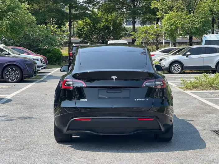 Model Y 2021 Model Standard Battery Life Rear-wheel drive version – фото 6