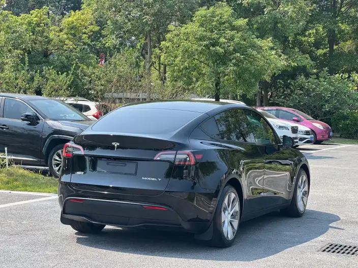 Model Y 2021 Model Standard Battery Life Rear-wheel drive version – фото 7