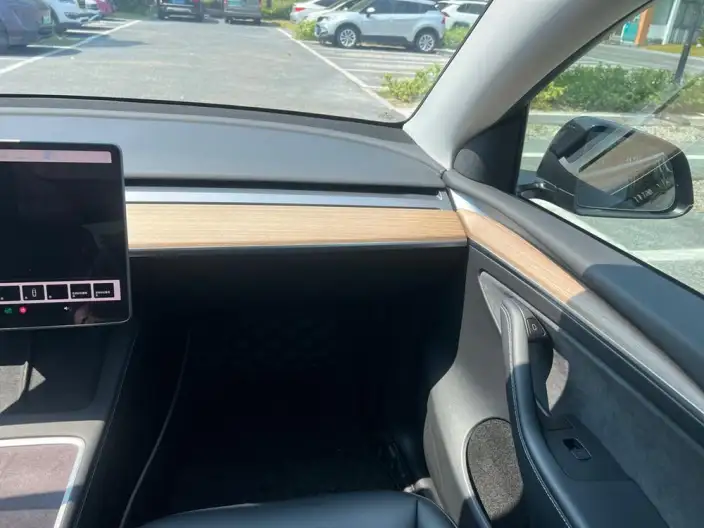 Model Y 2021 Model Standard Battery Life Rear-wheel drive version – фото 10