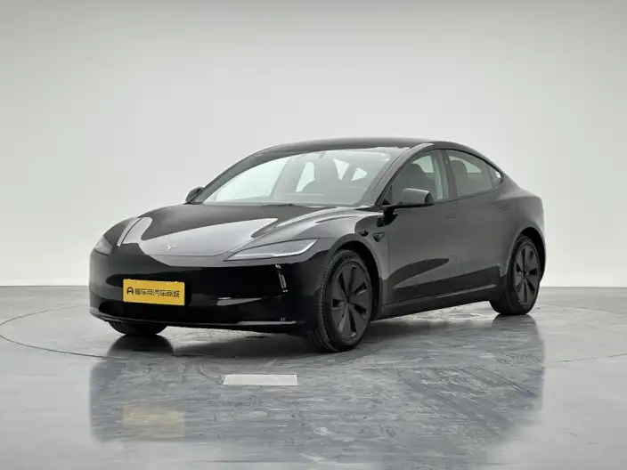 Model 3 2023 Model Long Battery Life Pro All-wheel drive version – фото 1