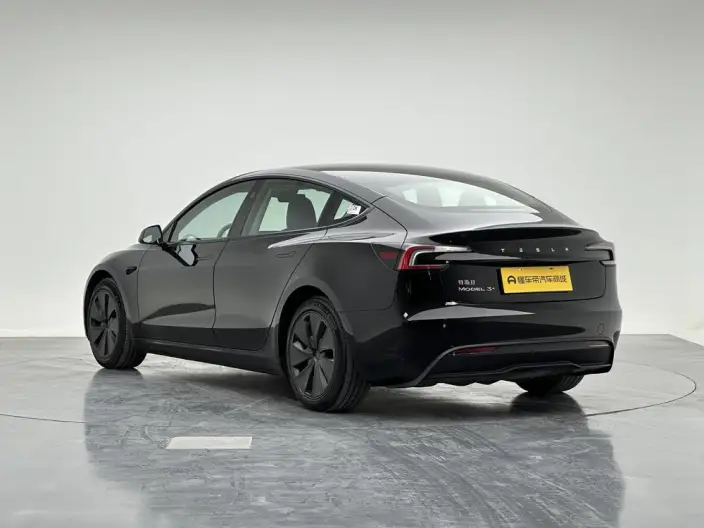 Model 3 2023 Model Long Battery Life Pro All-wheel drive version – фото 5