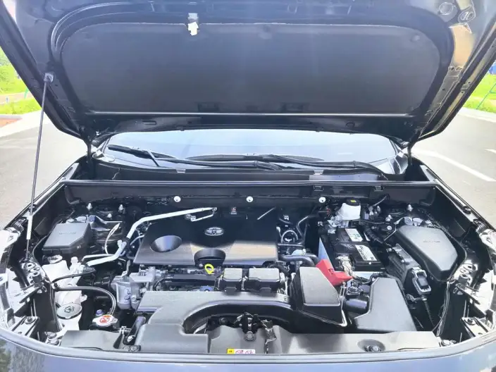 Toyota Wildlander 2023 Model 2.0L 2WD Luxury PLUS Edition – фото 7