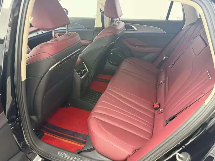 Hongqi H5 2023 Model 2.0T Automatic Flag Enjoy Edition – фото 9