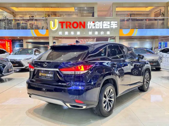 Lexus RX 2020 Model Facelift 300 2WD Elite Edition – фото 5
