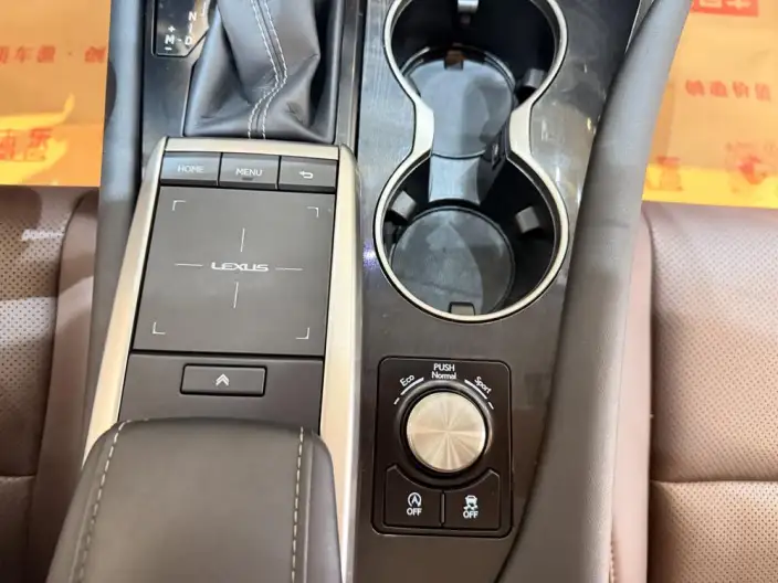 Lexus RX 2020 Model Facelift 300 2WD Elite Edition – фото 8