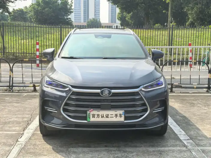 BYD Tang DM 2023 Model DM-i Champion Edition 112KM Noble Model – фото 2