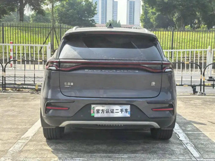 BYD Tang DM 2023 Model DM-i Champion Edition 112KM Noble Model – фото 5