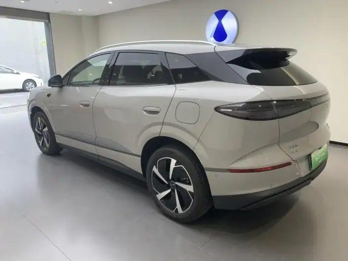 Sea Lion 06DM 2025 Model DM-i 205KM Pilot Plus Edition