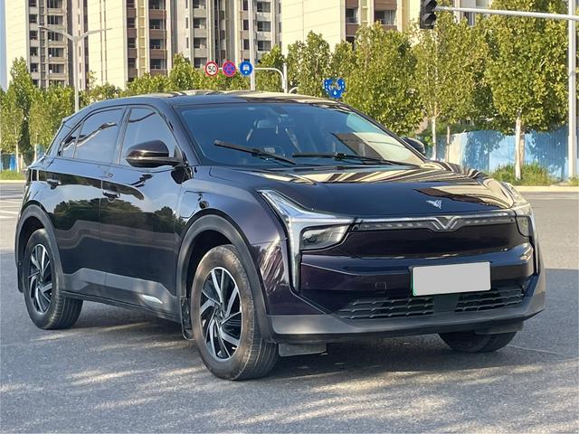 Neta U 2021 Pro 400 Cruise Edition – фото 3