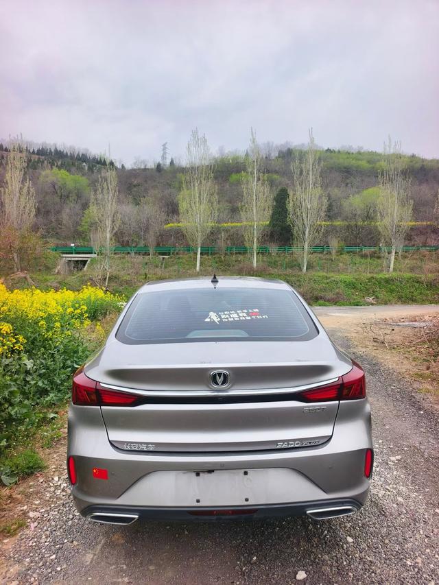 Changan Eado 2021 Plus Blue Whale NE 1.4T GDI DCT Premium – фото 8