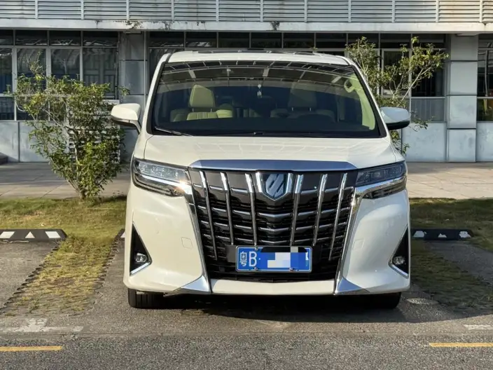 Elfa 2021 Model Hybrid 2.5L Premium Edition