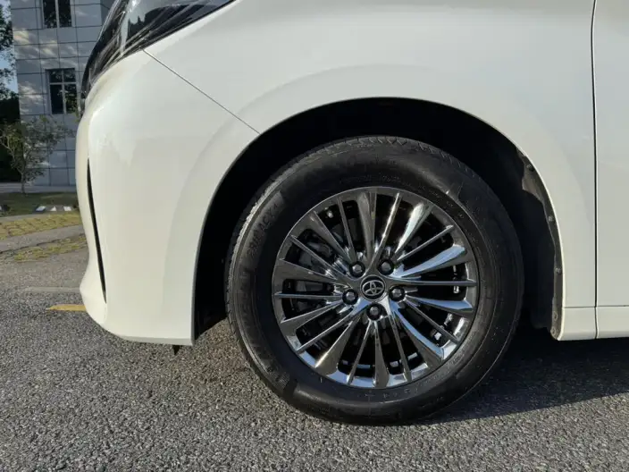 Elfa 2021 Model Hybrid 2.5L Premium Edition – фото 7