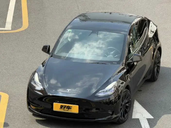 Model Y 2022 Model Rear-wheel drive version – фото 1