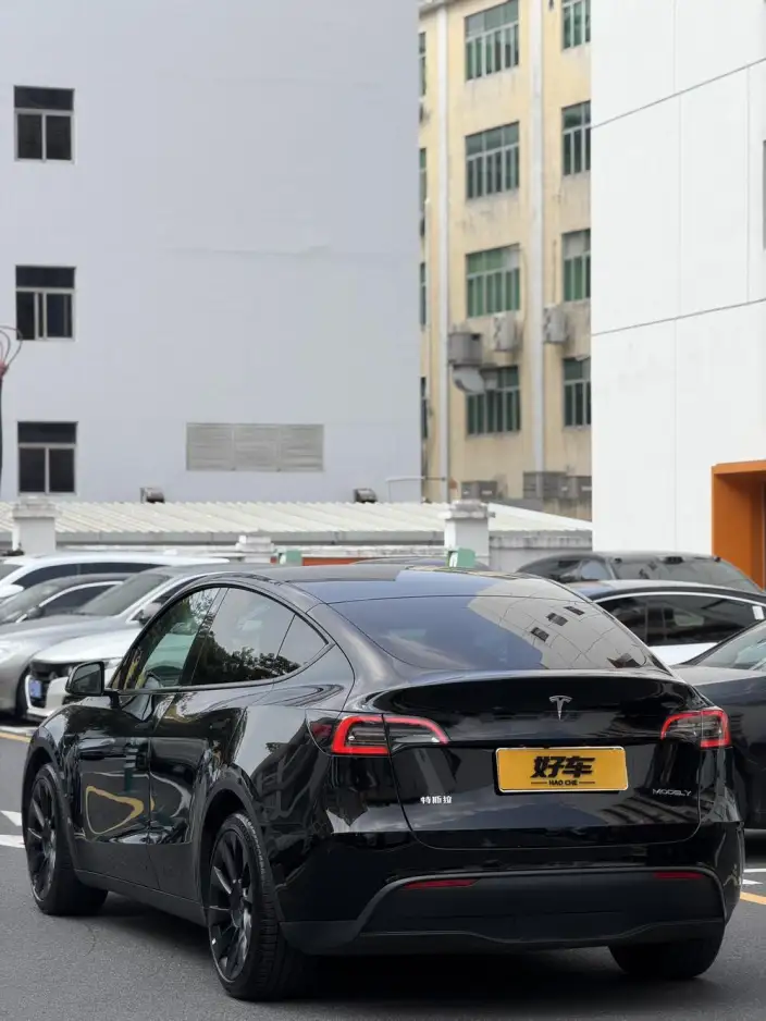 Model Y 2022 Model Rear-wheel drive version – фото 3