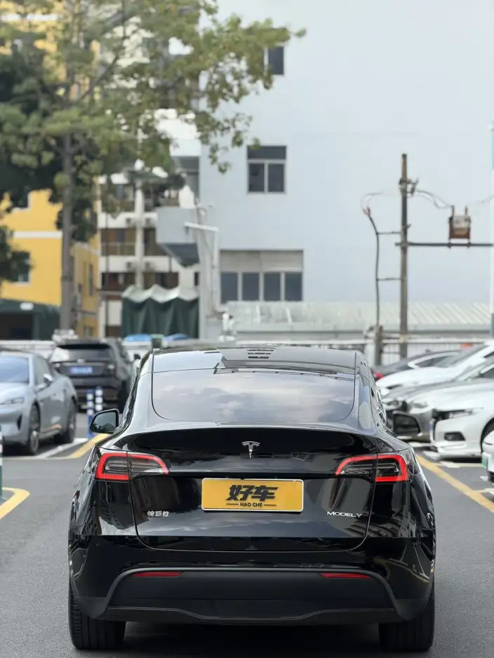 Model Y 2022 Model Rear-wheel drive version – фото 4