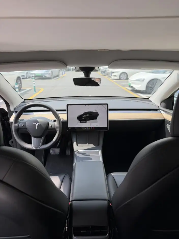 Model Y 2022 Model Rear-wheel drive version – фото 6