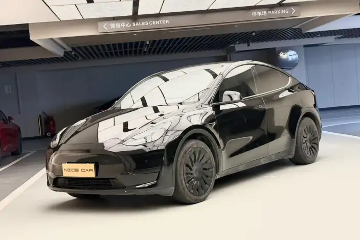 Model Y 2022 Model Rear-wheel drive version – фото 1