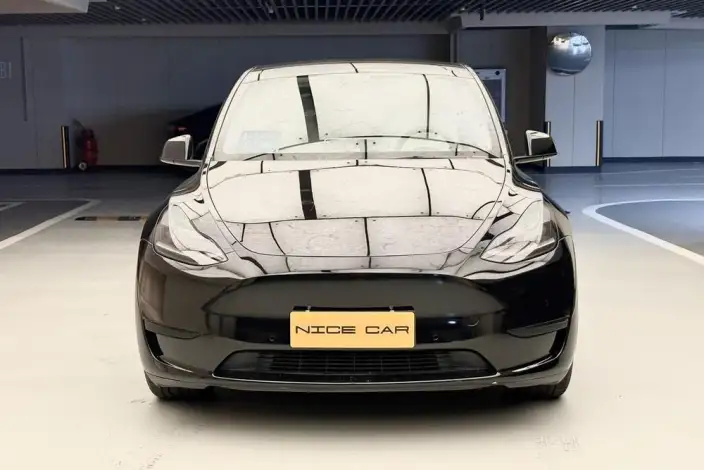 Model Y 2022 Model Rear-wheel drive version – фото 2