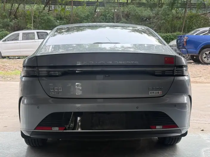 BYD Destroyer 05 2024 Model Honor Edition DM-i 55KM Luxury Model – фото 5