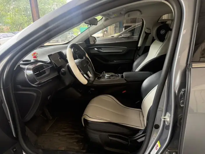 BYD Destroyer 05 2024 Model Honor Edition DM-i 55KM Luxury Model – фото 8